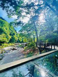 【東京】この夏ぜひ行って!!川遊びもできちゃう涼スポット🎐