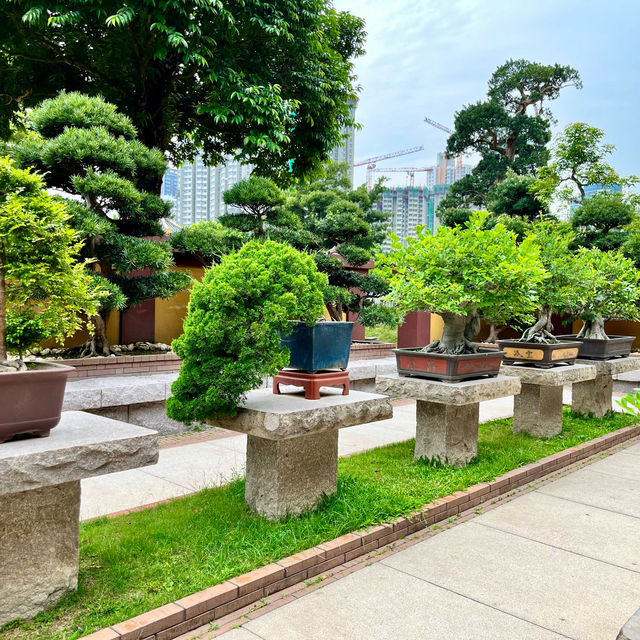 Nan Lian Garden - A Serene Oasis in the Heart of Hong Kong 🌳🌺