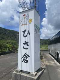 奄美大島　奄美名物！けいはん🐓