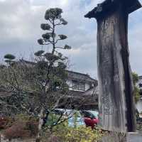 【日田】天領日田 ⭐️趣き漂う文化財の日本旅館✨