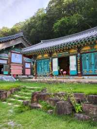 500년된 배롱나무가 있는 영동 반야사