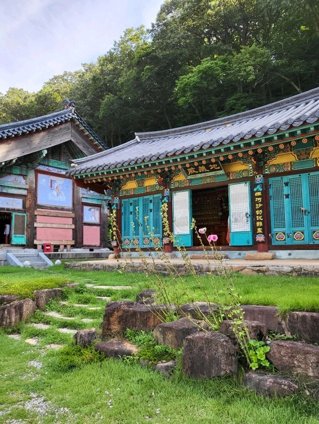 500년된 배롱나무가 있는 영동 반야사