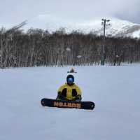 Niseko Japan ลานสกีที่โด่งดัง หิมะนุ่ม