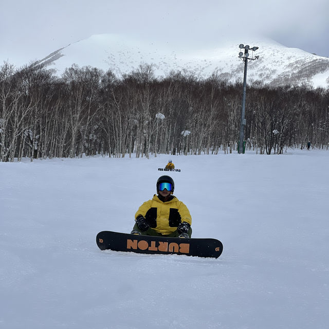 Niseko Japan ลานสกีที่โด่งดัง หิมะนุ่ม