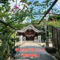 手水舎が見どころの「熊野神社」