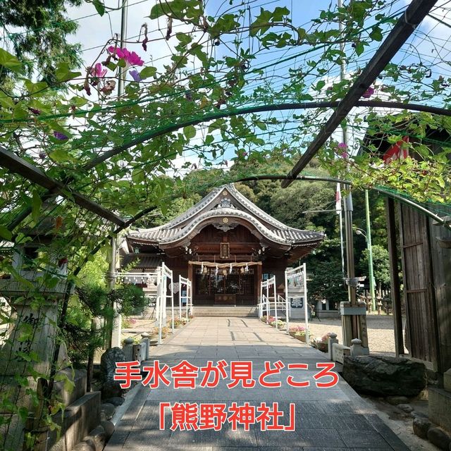 手水舎が見どころの「熊野神社」