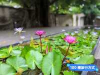 台南-來水交社日式老宅品嚐眷村家常菜：老張串門
