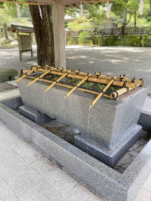 【館山】必見！日本金運3大神社の一つ