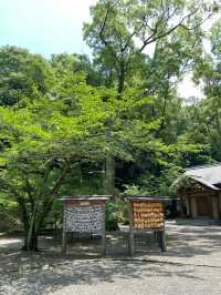 【館山】必見！日本金運3大神社の一つ