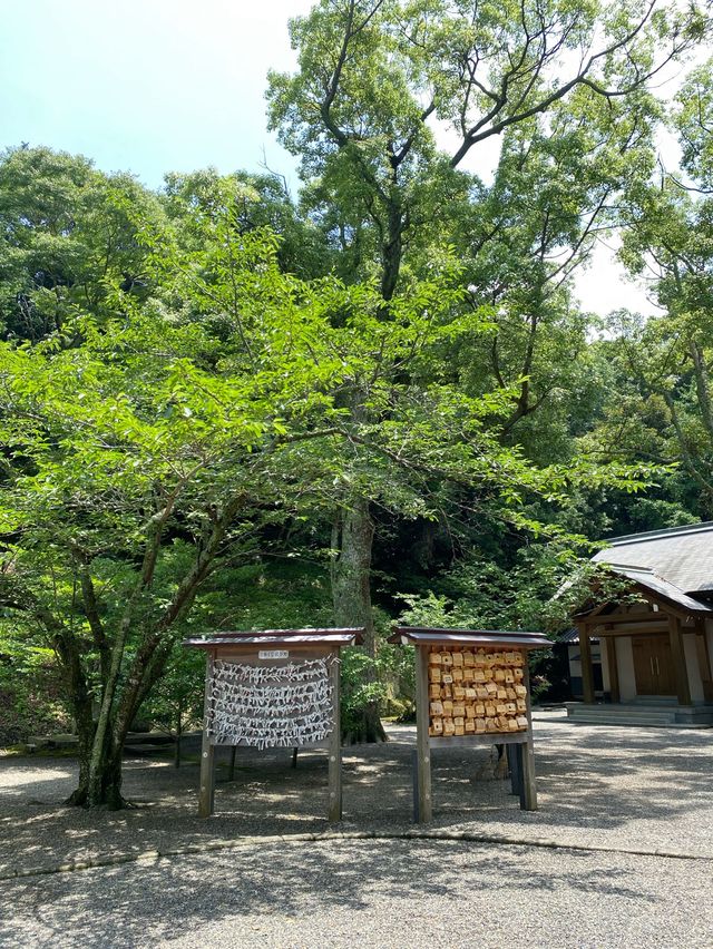 【館山】必見！日本金運3大神社の一つ