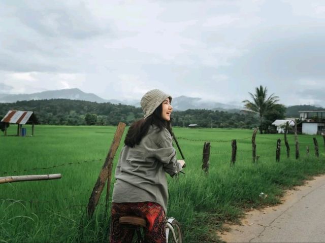 เมืองคอง จ.เชียงใหม่