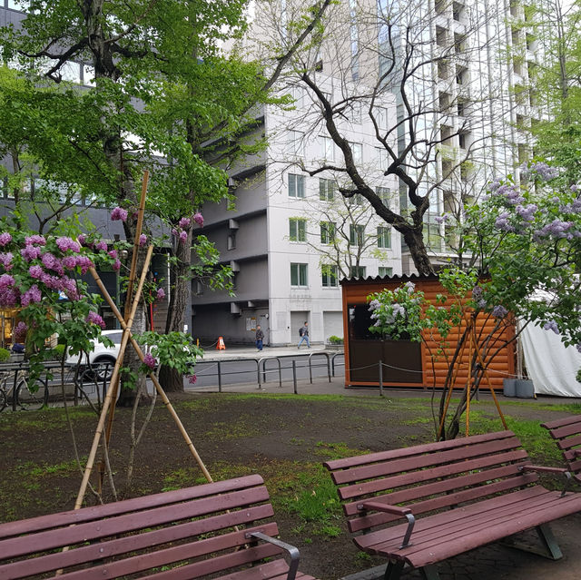 오도리 공원 야시장