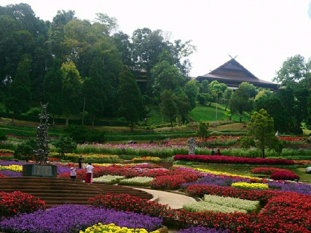 ชมสวนแม่ฟ้าหลวง ดอยตุง