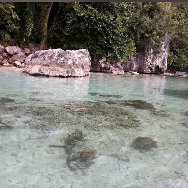 Discover the Maluku’s Own Maldives