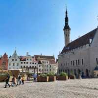 Estonia City Walk