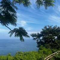 제주도의 멋진 절벽과 바다풍경을 보며 힐링을!