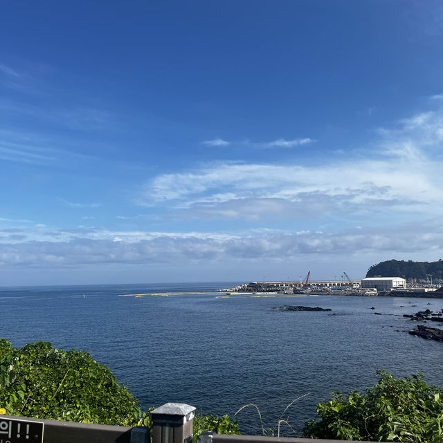 제주도의 멋진 절벽과 바다풍경을 보며 힐링을!