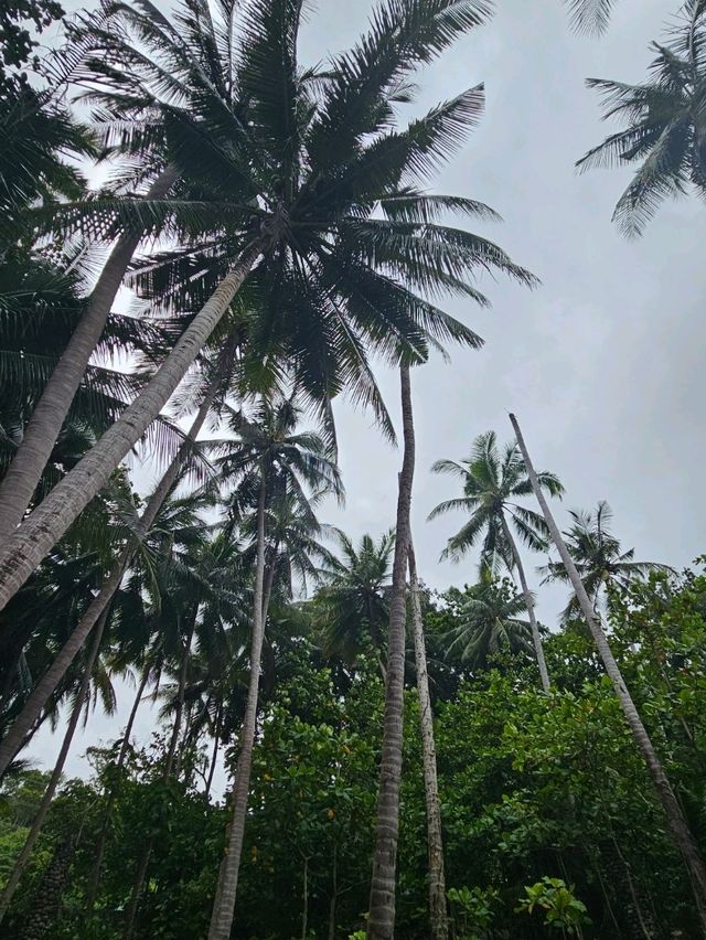 เช็คอินมุมลับ  ภูเก็ต