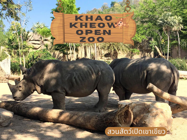 รีวิว เที่ยวสวนสัตว์เปิดเขาเขียว (ชลบุรี) 🐘