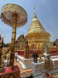 A Cultural Journey Through Thailand: 