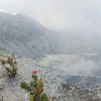 Bandung With View : Tangkuban Perahu : Horse Ride