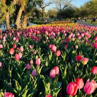 City Park: New Orleans’ Green Oasis