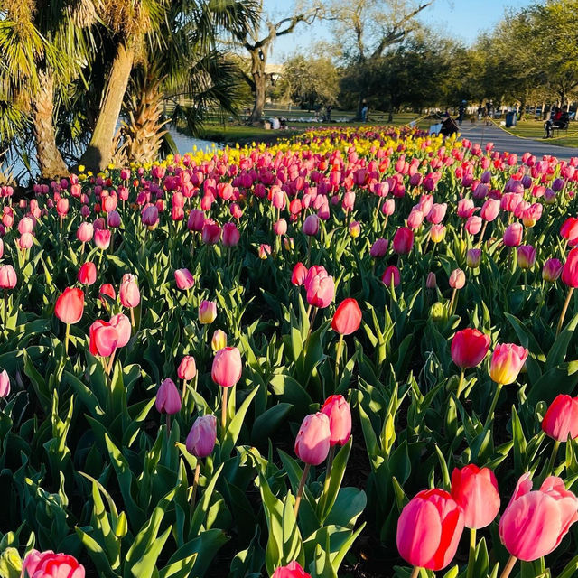 City Park: New Orleans’ Green Oasis