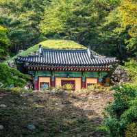 Explore the Ancient Wonders of Gyeongju, South Korea