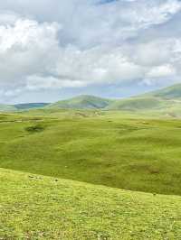 🇨🇳Walking into Oil Painting-LiTang Grassland
