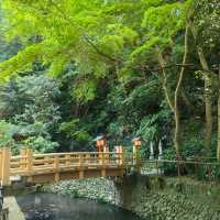 Akamine Camping Ground：綠意滿溢，親近自然的露營樂趣
