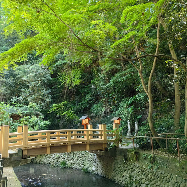 Akamine Camping Ground：綠意滿溢，親近自然的露營樂趣