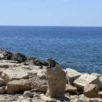 Cypriot Sun