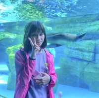 日本ㅣ大阪ㅣ天王寺動物園ㅣ日本第三座動物園