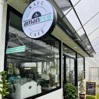 "Urban Oasis: A Unique Farm-to-Table Experience in Aquaponic Garden Café"