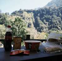 #八仙山森林遊樂區 #台中景點