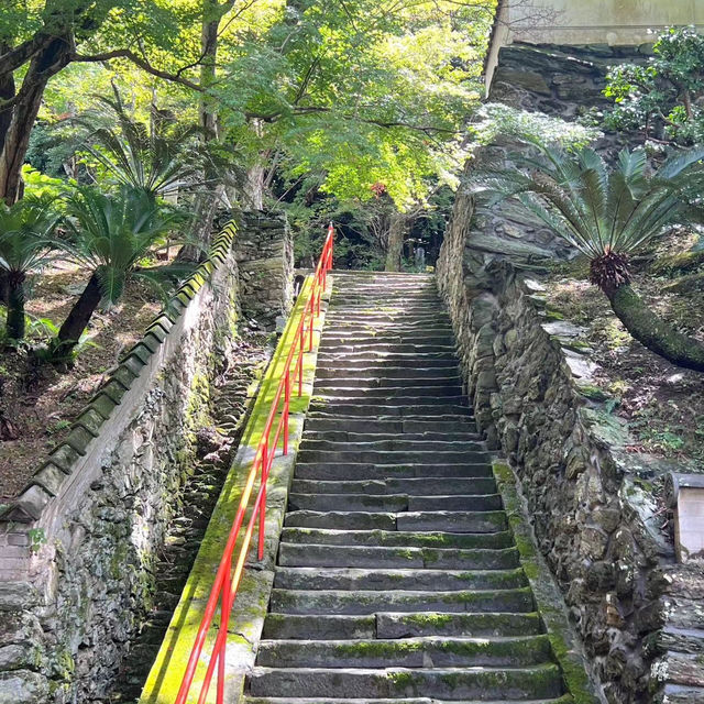 🏯遼闊開揚🏯 龜山城🏯
