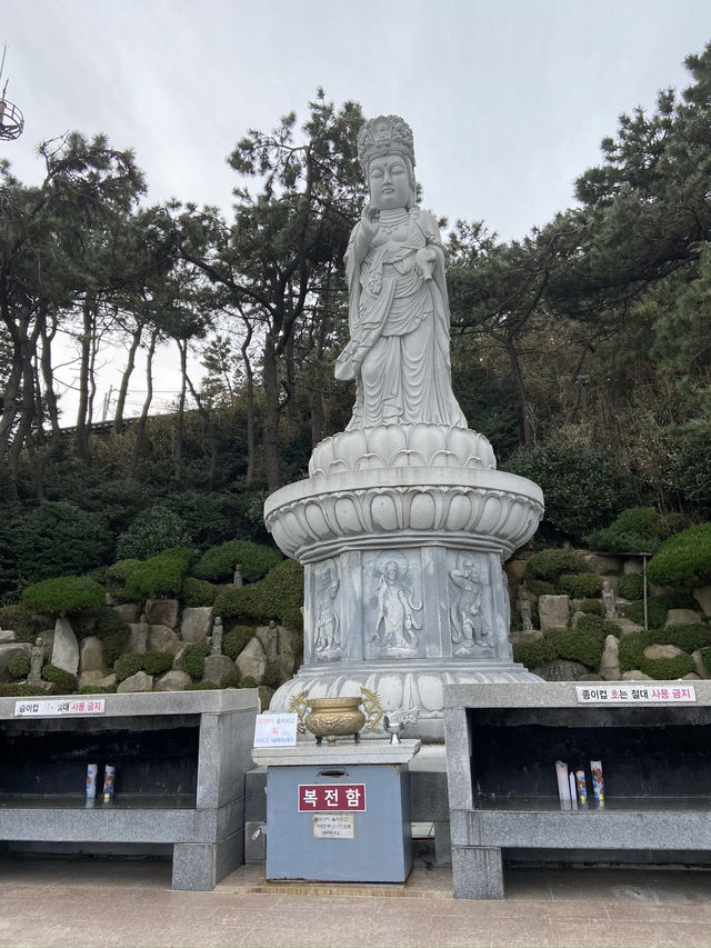 【釜山・機張】願い事を叶えてくれる？？海に面した珍しいお寺