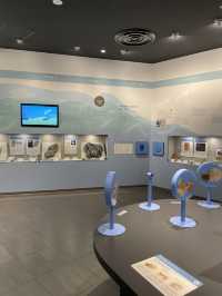 【長崎県:野母崎】大迫力の恐竜の化石を見て学べる展示