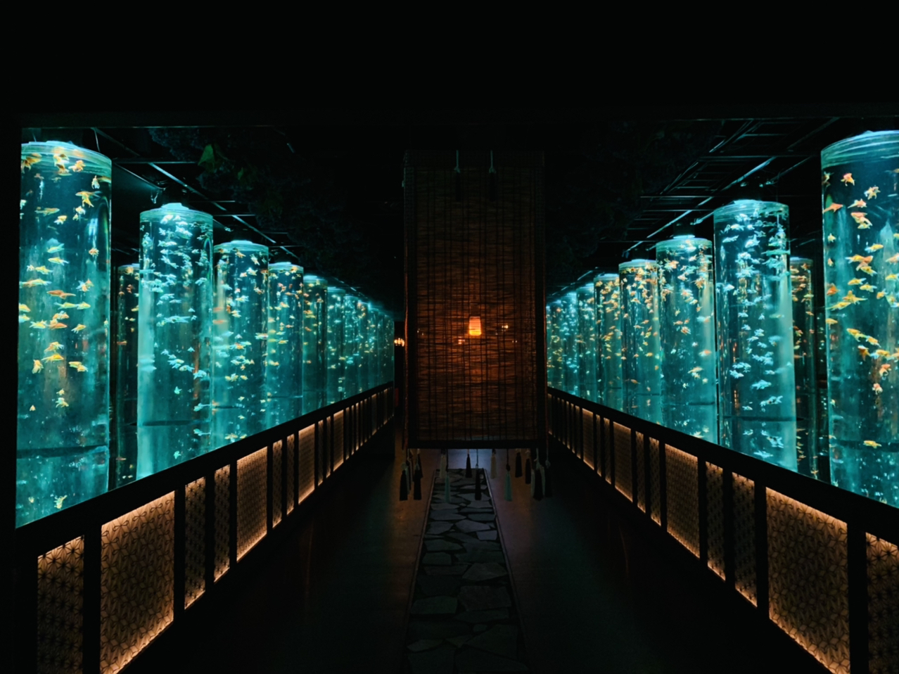 アートアクアリウム 金魚×光・音・香が織りなす芸術 | Trip.com 東京