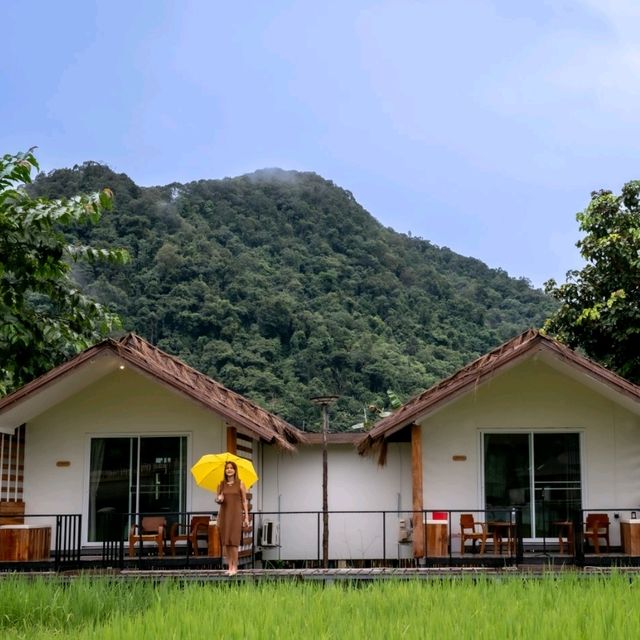 ที่พักที่ใกล้ชิดกับทุ่งนา กลางหมู่บ้านสะปัน น่าน