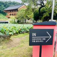清州　この建物は必見！人文アーカイブ養林&カフェHUMANITAS 