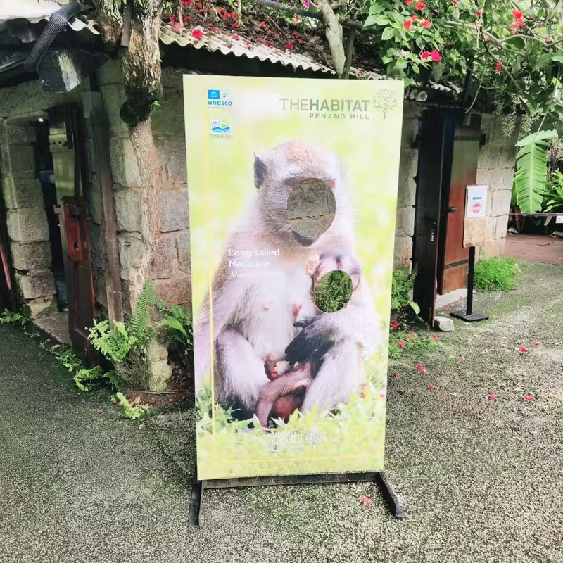檳城The Habitat:探索熱帶的自然之美