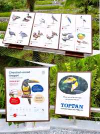 An Exciting Day Out at Bird Paradise 