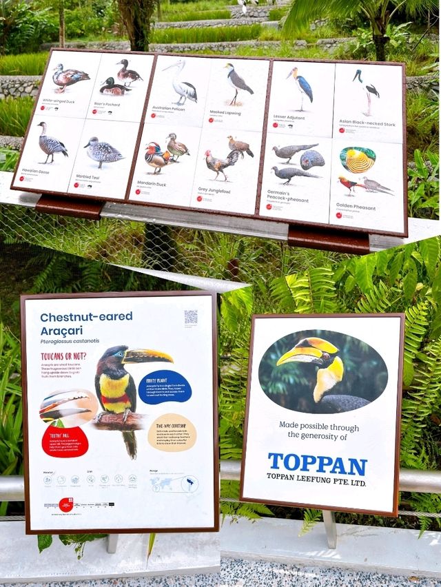 An Exciting Day Out at Bird Paradise 