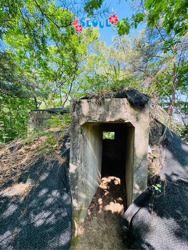 🇰🇷 Gamaksan Viewing Observatory Forest Trail