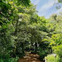 Bijarim Forest