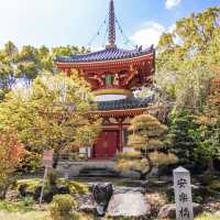 安樂寺
