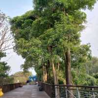 屏東河濱公園 舊鐵橋 運動放風的好地方