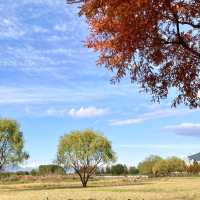 부산의 숨겨진 가을산책길을 찾아서🍂🍁