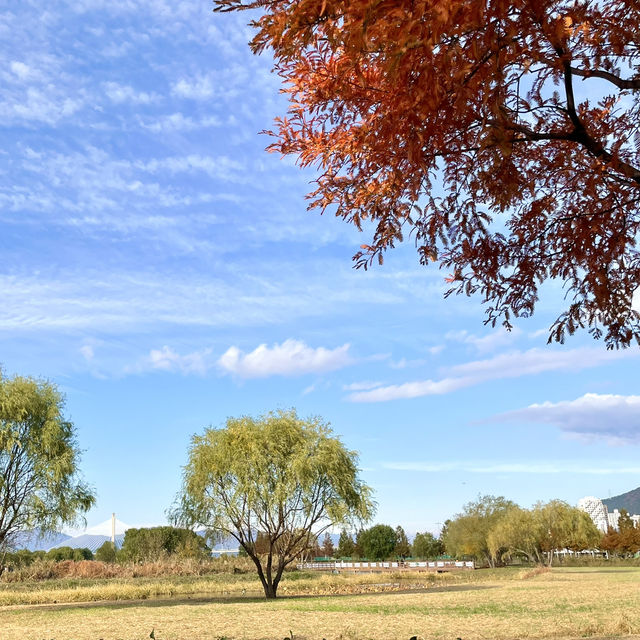 부산의 숨겨진 가을산책길을 찾아서🍂🍁